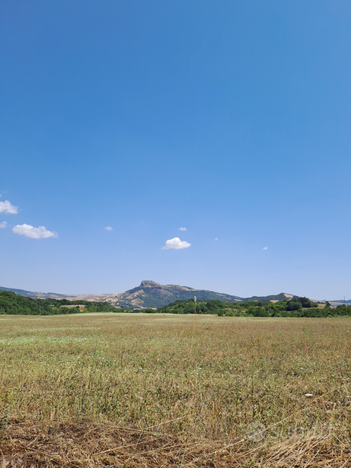 Terreno agricolo pianeggiante