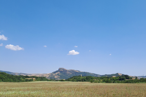 Terreno agricolo pianeggiante