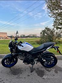 Suzuki sv 650