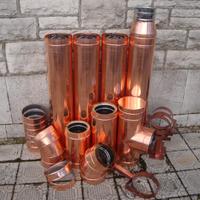 Canna fumaria colorata