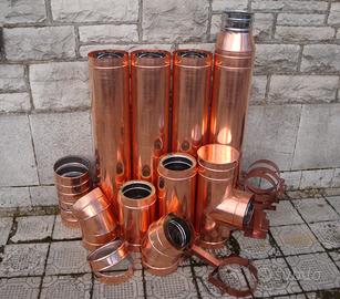 Canna fumaria colorata