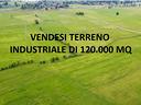 terreno-industriale-12-ettari