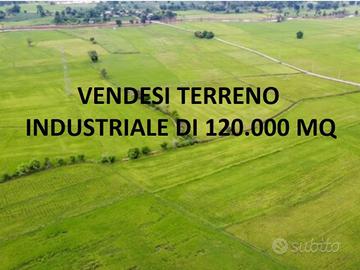 TERRENO INDUSTRIALE 12 ETTARI