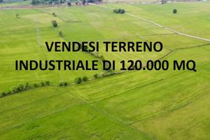 TERRENO INDUSTRIALE 12 ETTARI