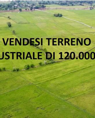 TERRENO INDUSTRIALE 12 ETTARI