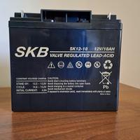 Batteria allarme 12 Volt 18 Ah