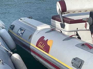 Gommone gold bwa con Suzuki 115