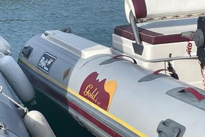 Gommone gold bwa con Suzuki 115