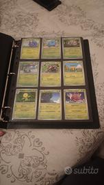 Raccoglitore Pokemon