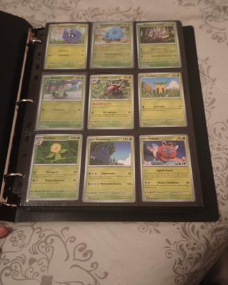 Raccoglitore Pokemon