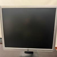 Monitor 19 pollici