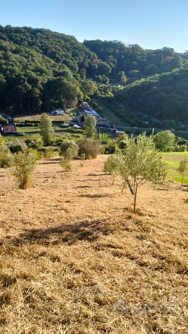 Terreno agricolo - Vista 3