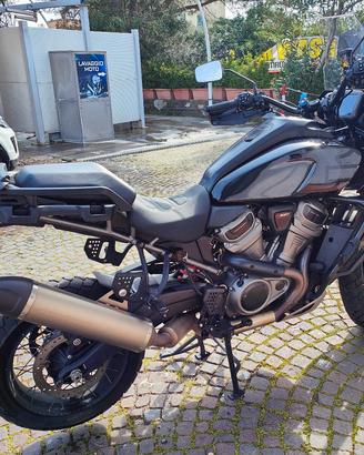 Harley Davidson Pan America Special