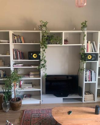 libreria + tavolino TV