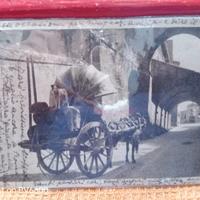 Cartolina Antica Palazzo Buitoni Borgo San Sepolcr