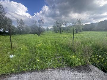 Terreno agricolo panoramico di 6.835 mq a Sarroch