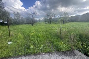 Terreno agricolo panoramico di 6.835 mq a Sarroch