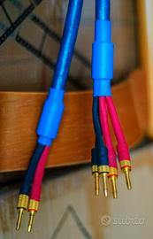 Cavo per casse biwiring Quadra Blue