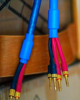 Cavo per casse biwiring Quadra Blue
