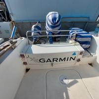 Pilotina sessa dorado 20 