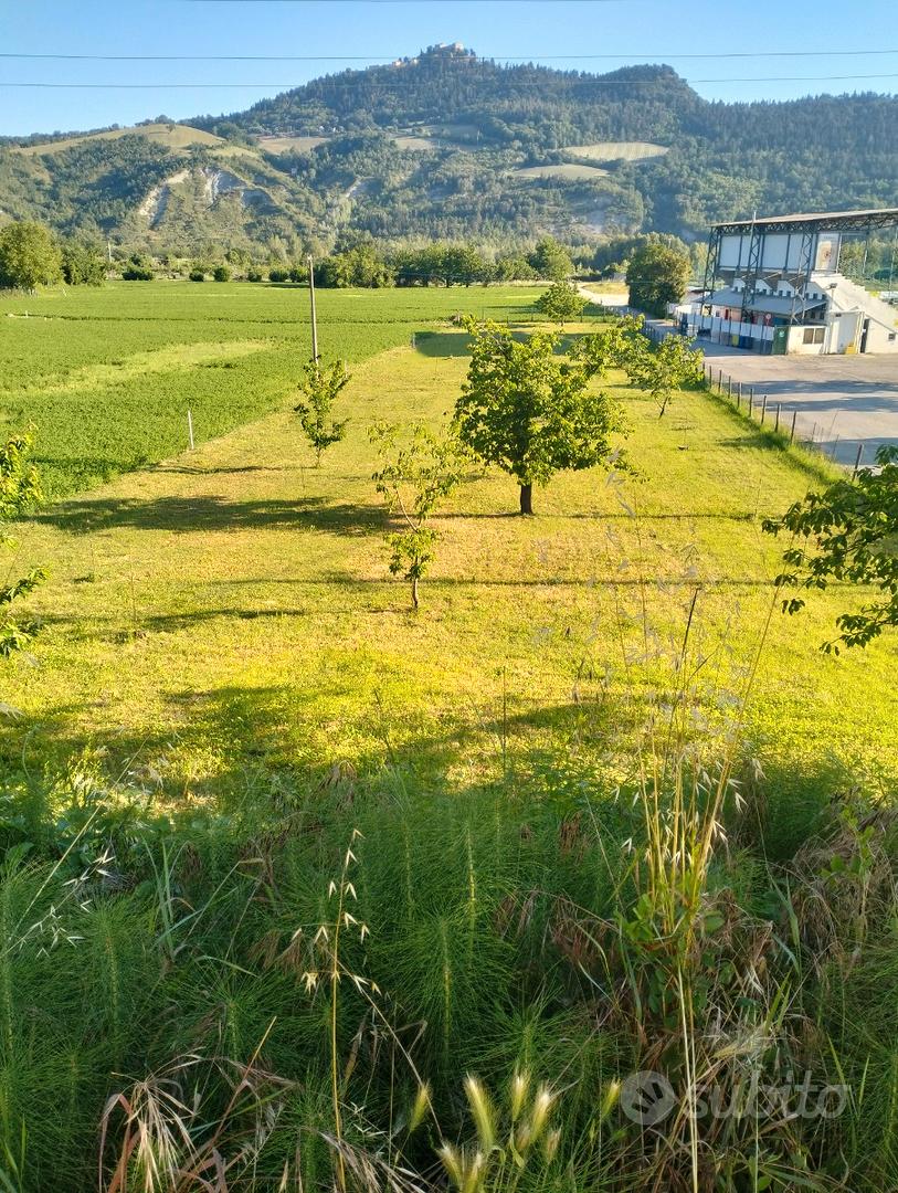 Terreno agricolo - Vista 2