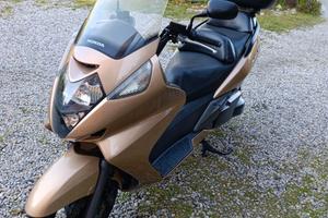 Silver Wing 400
