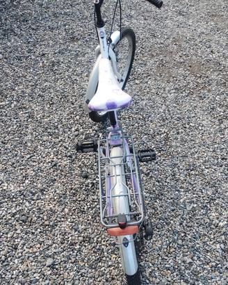 Bicicletta tipo Mountain bike