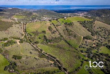 Terreno agricolo con vista panoramica