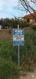 Lotto di terreno