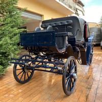 Carrozza mod. Landau (028)