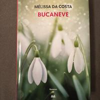 Bucaneve