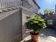 Immagine 29