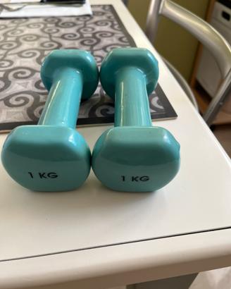 Pesi manubri da 1 kg Domyos