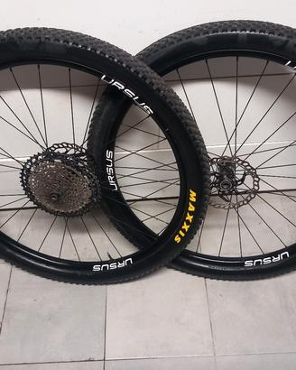 ruote mtb carbonio 