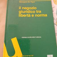 testo  univeristario