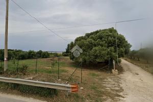TER. AGRICOLO A MARSALA