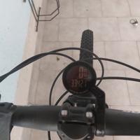 Mountain Bike marca Bottecchia