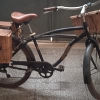 bicicletta da donna 