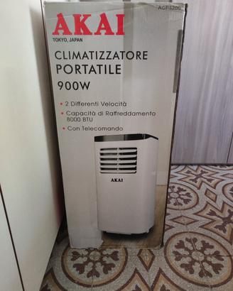 condizionatore portatile 