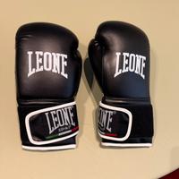 Guantoni LEONE  per box kickboxing !