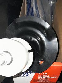 2 ammortizzatori anteriori FAST FT11293 per albea