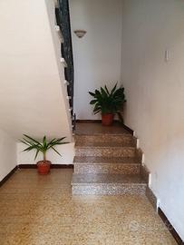 Appartamento arredato in zona centrale