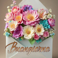 Badante full time zona fvg