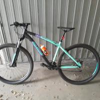 bianchi 29 s