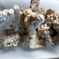 Rocce per Acquario di mare