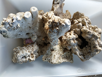 Rocce per Acquario di mare