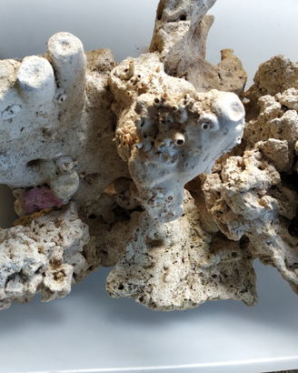 Rocce per Acquario di mare