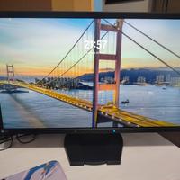 monitor Eizo fg2421 240hz