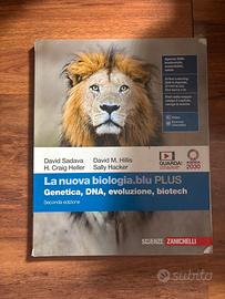libro di testo
