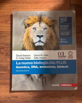 libro di testo